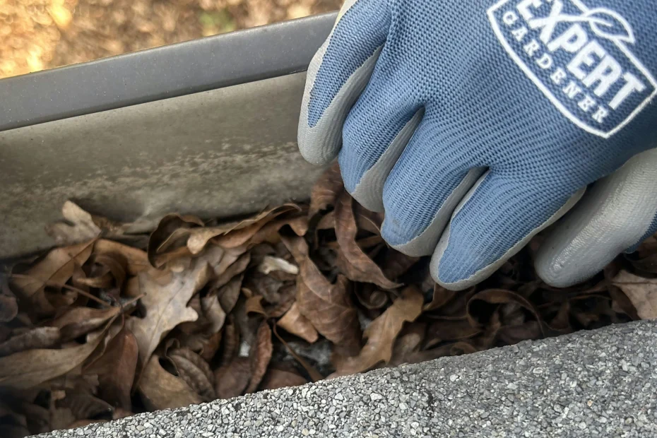 Gutter Cleaning Germantown TN